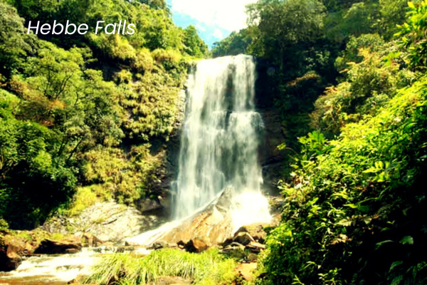 Best Homestay in Chikmagaur