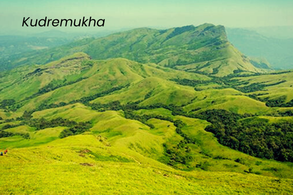Best Homestay in Chikmagalur