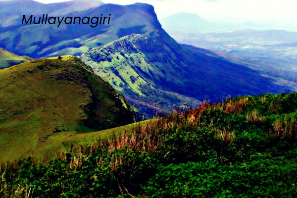 Best Homestay in Chikmagalur