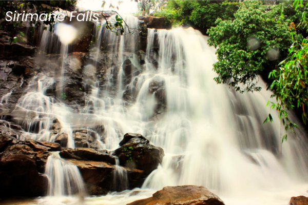 Best Homestay in Chikmagalur