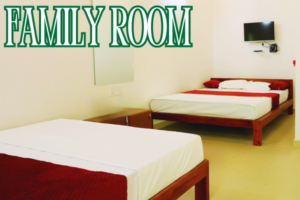 Best Homestay in Chikmagalur
